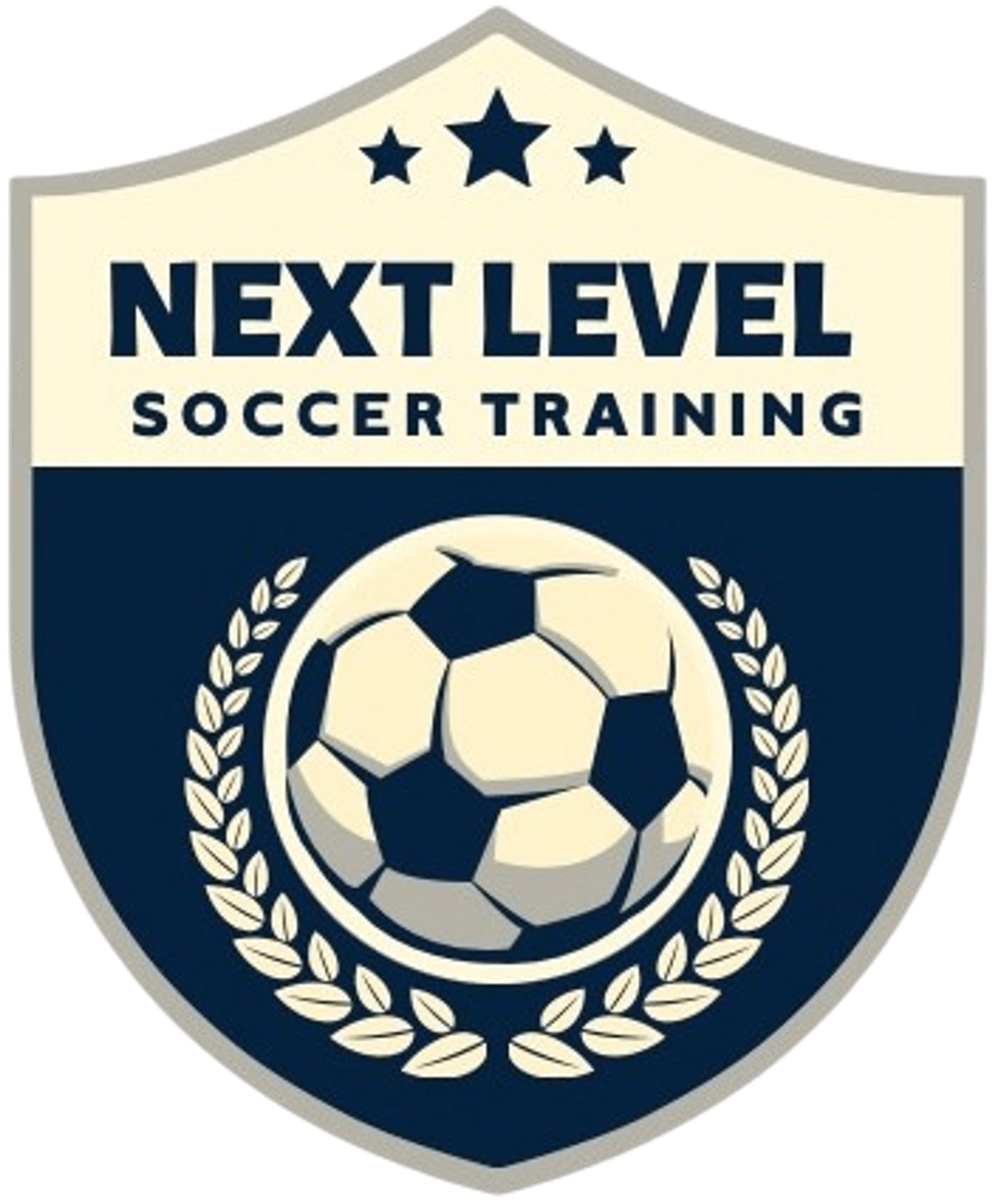 Next Level Soccer Training  | undefined Logo